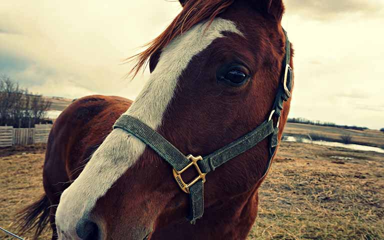 A GOOD DESIGNER FINDS AN ELEGANT WAY TO PUT EVERYTHING YOU NEED ON A PAGE. A GOOD DESIGNER FINDS AN ELEGANT WAY TO PUT EVERYTHING YOU NEED ON A PAGE.