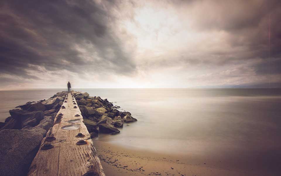 All images are under Mit Licence. All images are under Mit Licence.